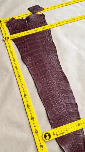 Crocodiles' tail, Marsala color