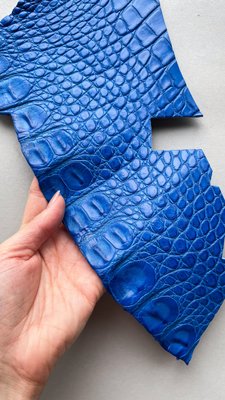 Лоскут шкіри крокодила, синій 000002744 фото