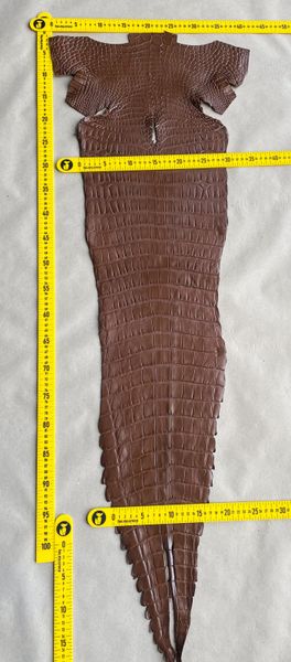 Crocodiles' Half-skin, cognac