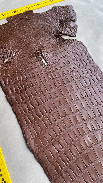 Crocodiles' Half-skin, cognac