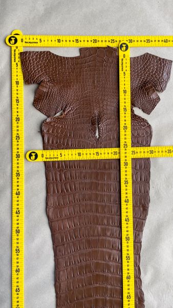 Crocodiles' Half-skin, cognac