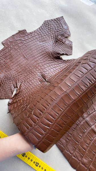 Crocodiles' Half-skin, cognac