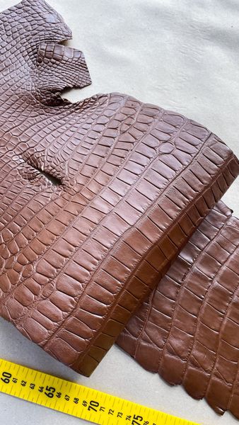 Crocodiles' Half-skin, cognac