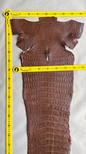 Crocodiles' Half-skin, cognac