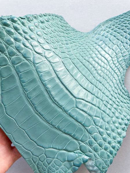 Crocodiles' neck, tiffany color