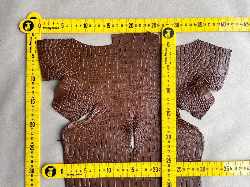 Crocodiles' Half-skin, cognac