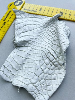 Лоскут шкіри крокодила 000000431 фото