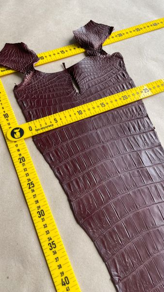 Crocodiles' tail, Marsala color