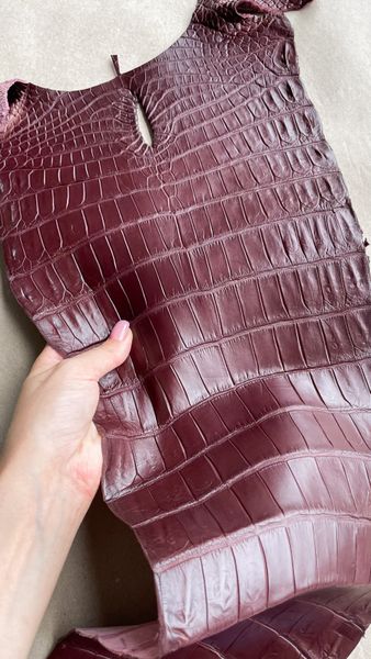 Crocodiles' tail, Marsala color