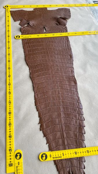 Crocodiles' Half-skin, cognac