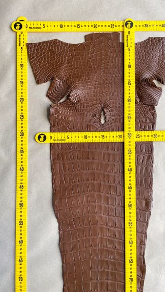 Crocodiles' Half-skin, cognac