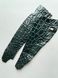 Crocodile leather kit