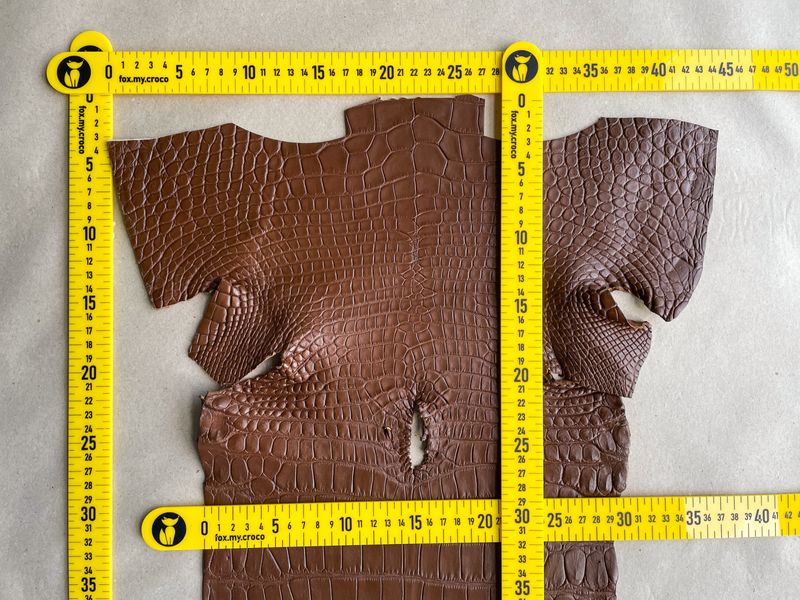 Crocodiles' Half-skin, cognac