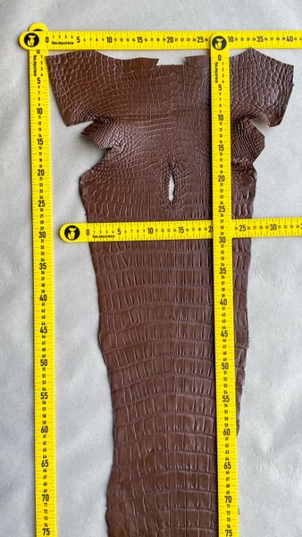 Crocodiles' Half-skin, cognac