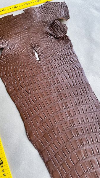 Crocodiles' Half-skin, cognac