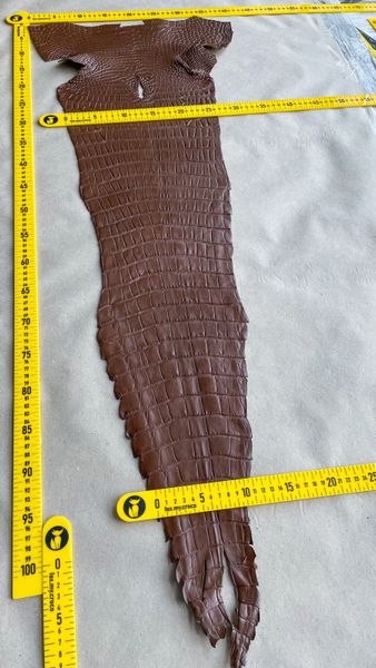 Crocodiles' Half-skin, cognac