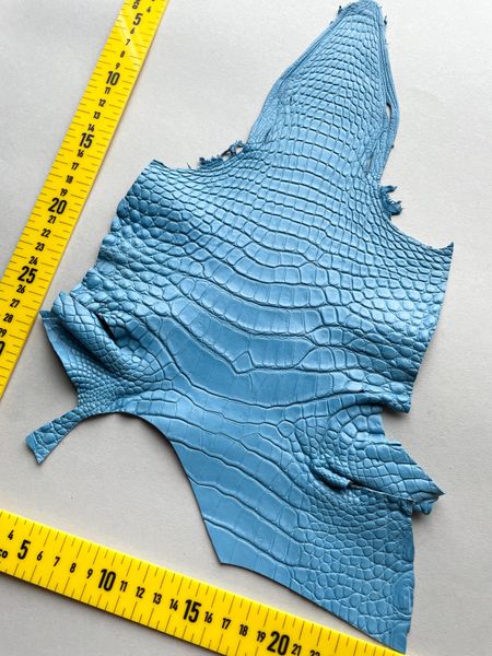 Crocodiles' neck, sky blue color