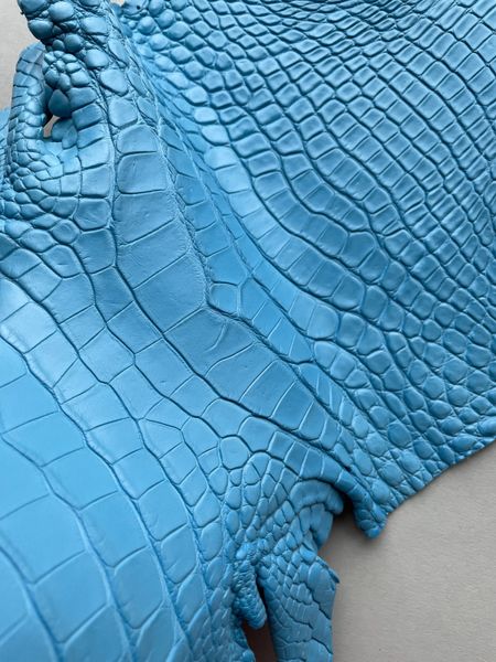 Crocodiles' neck, sky blue color