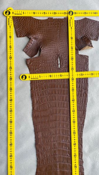 Crocodiles' Half-skin, cognac