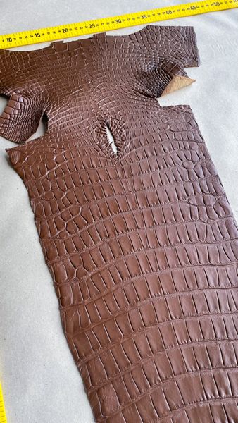 Crocodiles' Half-skin, cognac