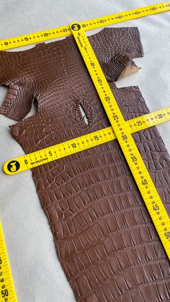 Crocodiles' Half-skin, cognac