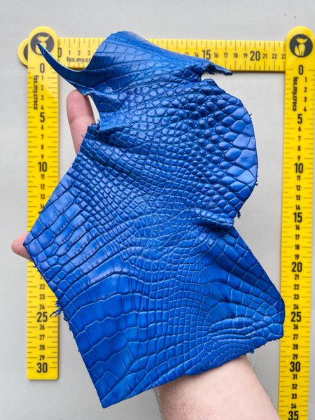 Crocodile leather piece, blue