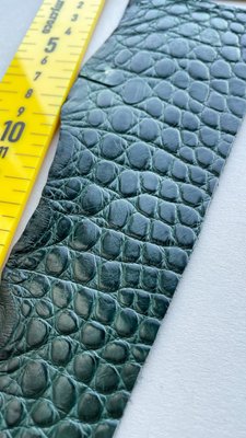 Crocodile leather kit