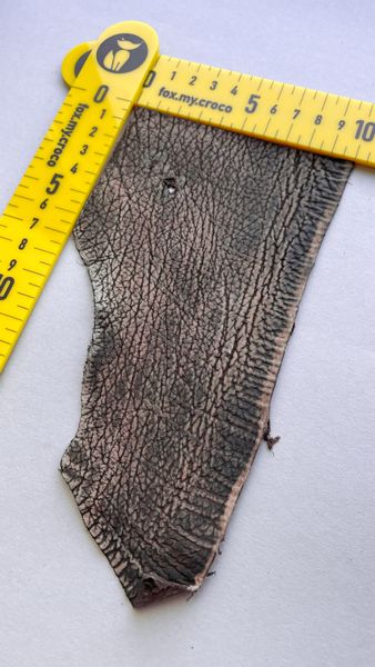 Лоскут шкіри акули, коричневий 000002727 фото