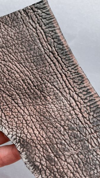 Лоскут кожи акулы, коричневый 000002727 фото