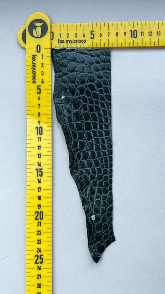 Лоскут шкіри крокодила 000000601 фото