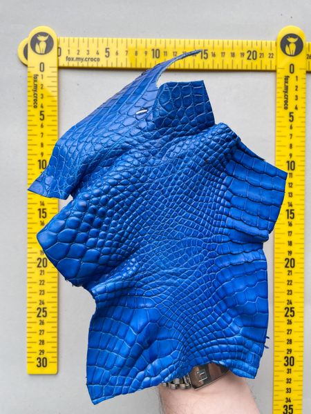 Crocodile leather piece, blue