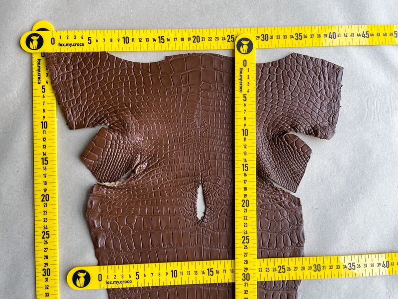 Crocodiles' Half-skin, cognac