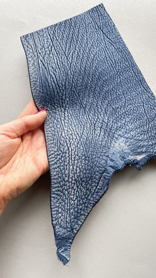 Лоскут шкіри акули, блакитний 000002359 фото