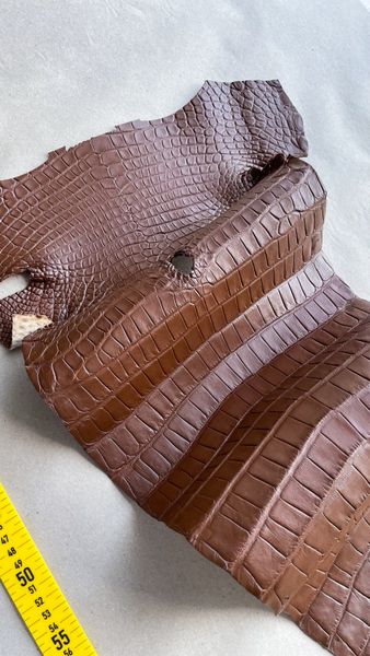 Crocodiles' Half-skin, cognac