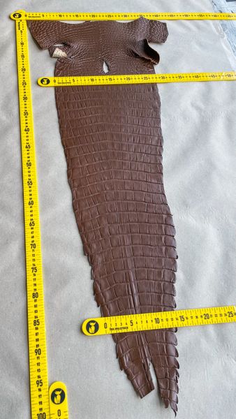 Crocodiles' Half-skin, cognac