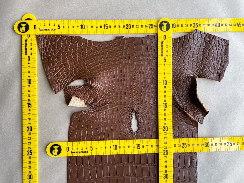 Crocodiles' Half-skin, cognac