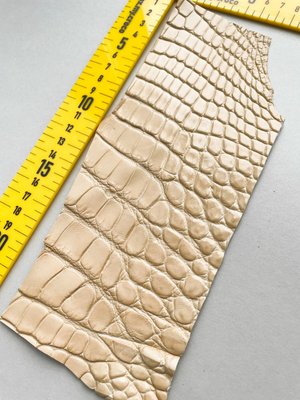Лоскут кожи крокодила 000000479 фото