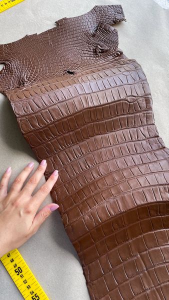 Crocodiles' Half-skin, cognac