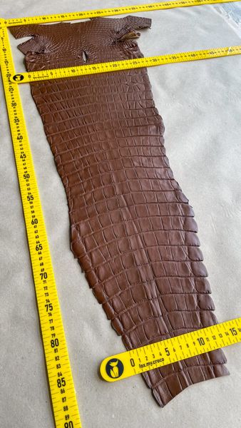 Crocodiles' Half-skin, cognac