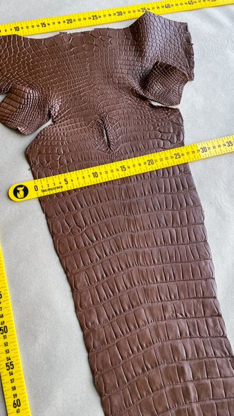 Crocodiles' Half-skin, cognac