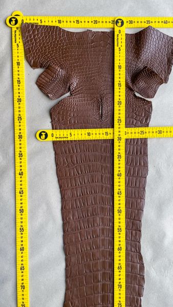 Crocodiles' Half-skin, cognac