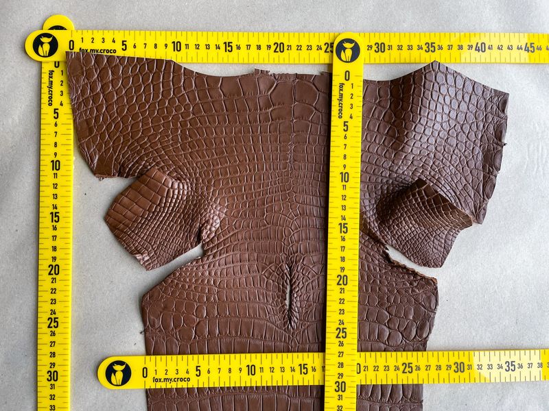 Crocodiles' Half-skin, cognac