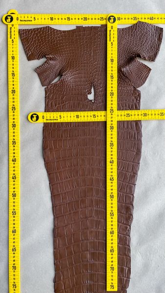 Crocodiles' Half-skin, cognac