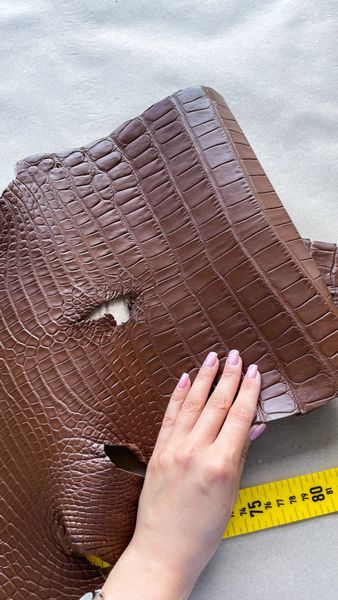 Crocodiles' Half-skin, cognac