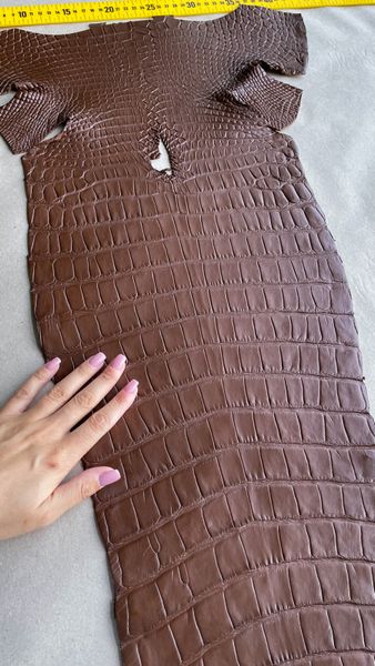 Crocodiles' Half-skin, cognac