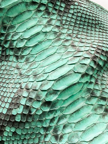 Python skin, emerald 225 сm (available for cut from 20cm)