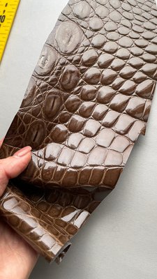 Лоскут шкіри крокодила, коричневий 000000690 фото