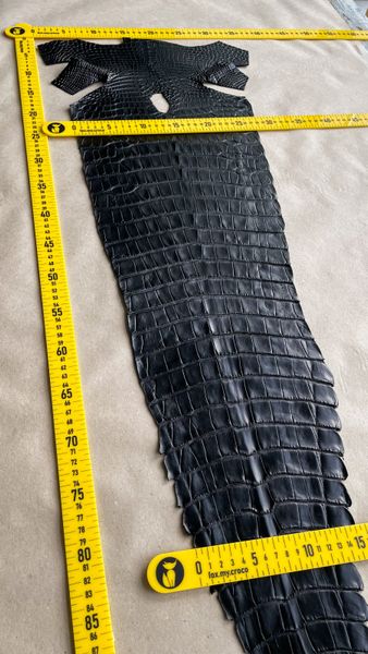 Crocodiles' Half-skin, black color