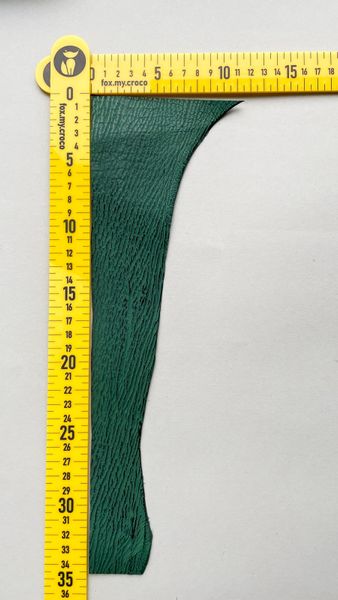 Shark leather piece, green