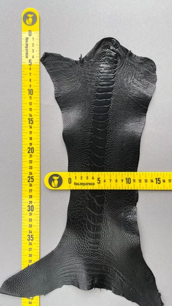 Лапа страуса, чорна 000002087 фото